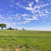 Review photo of Timber Point Wetland by Gabriel H., May 11, 2024