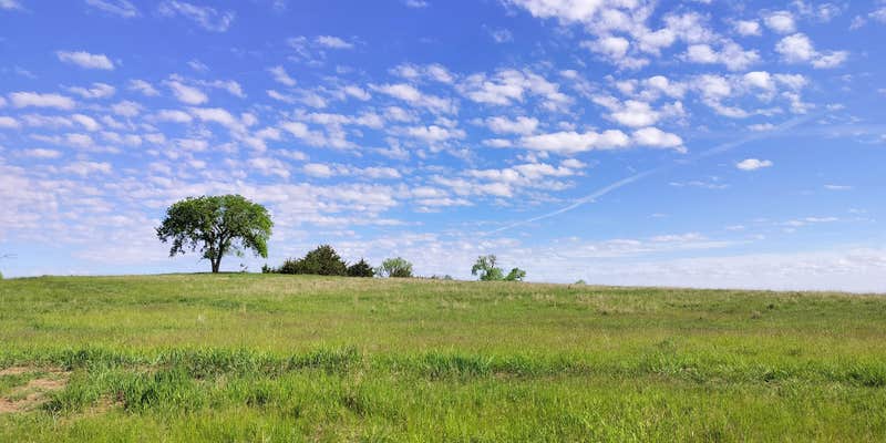 Camper submitted image from Timber Point Wetland
