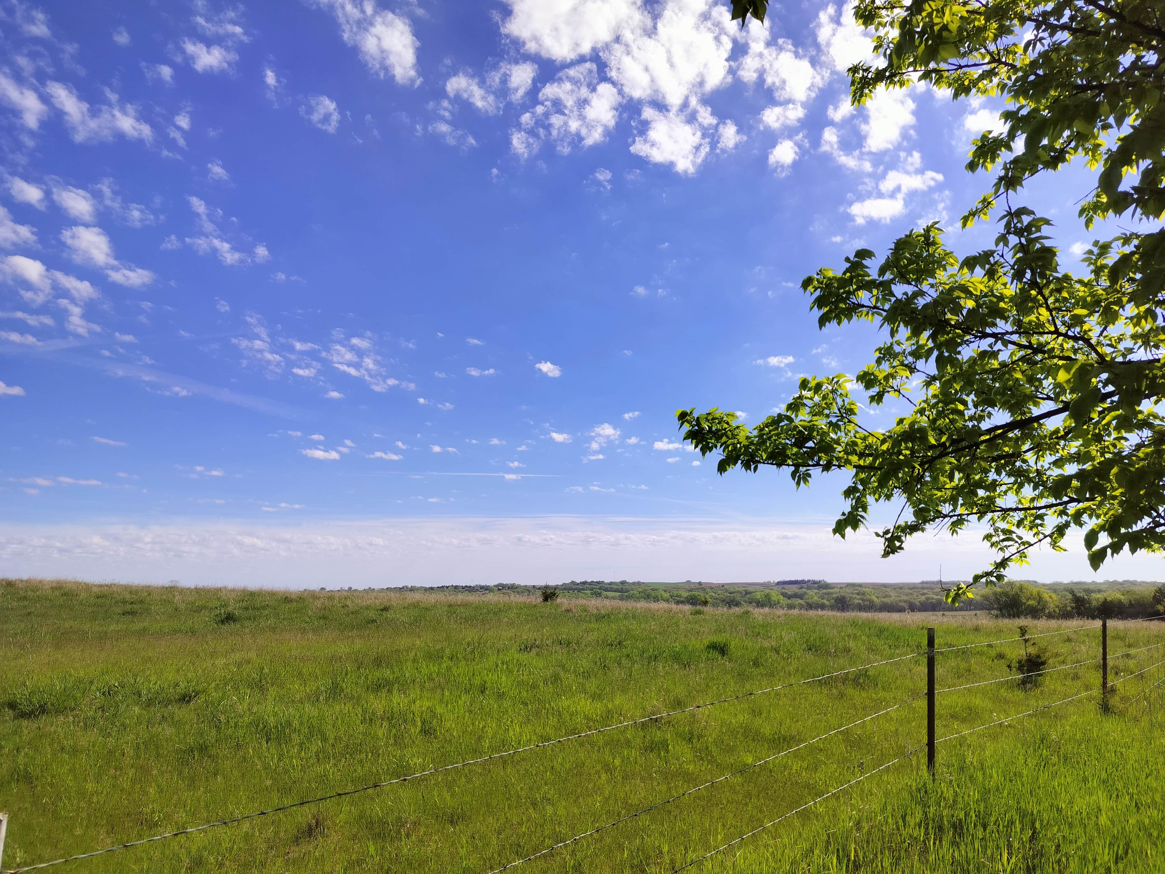 Camper-submitted photo at Timber Point Wetland near Brainard, NE