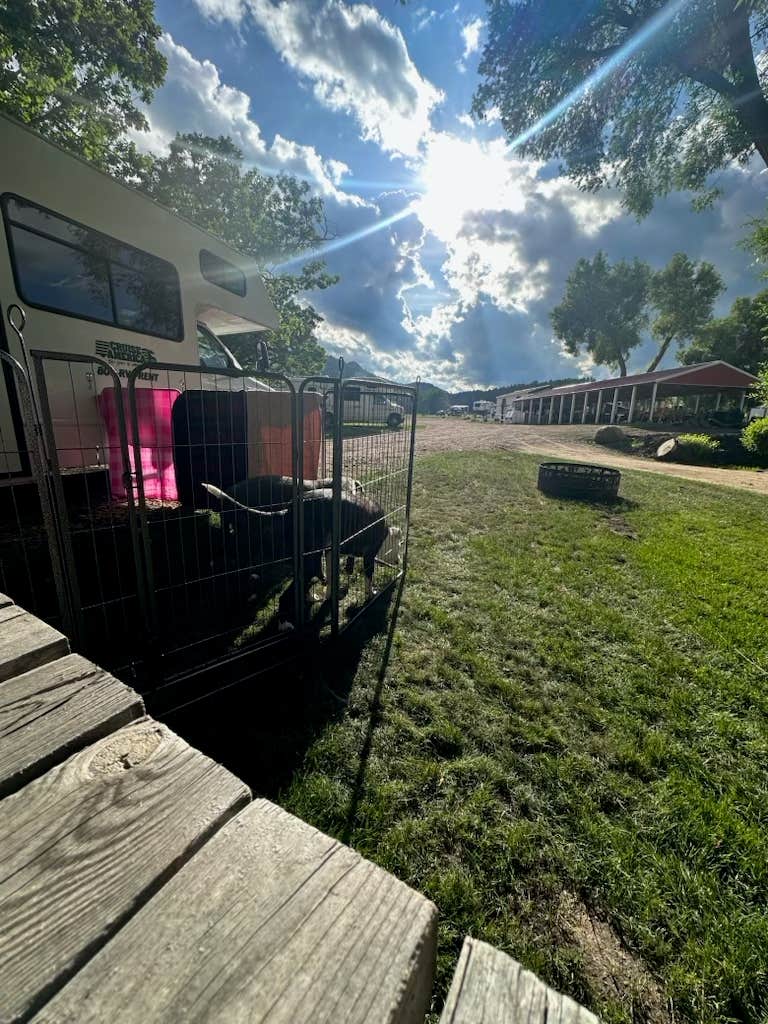 Camper submitted image from timber ridge campground - 5