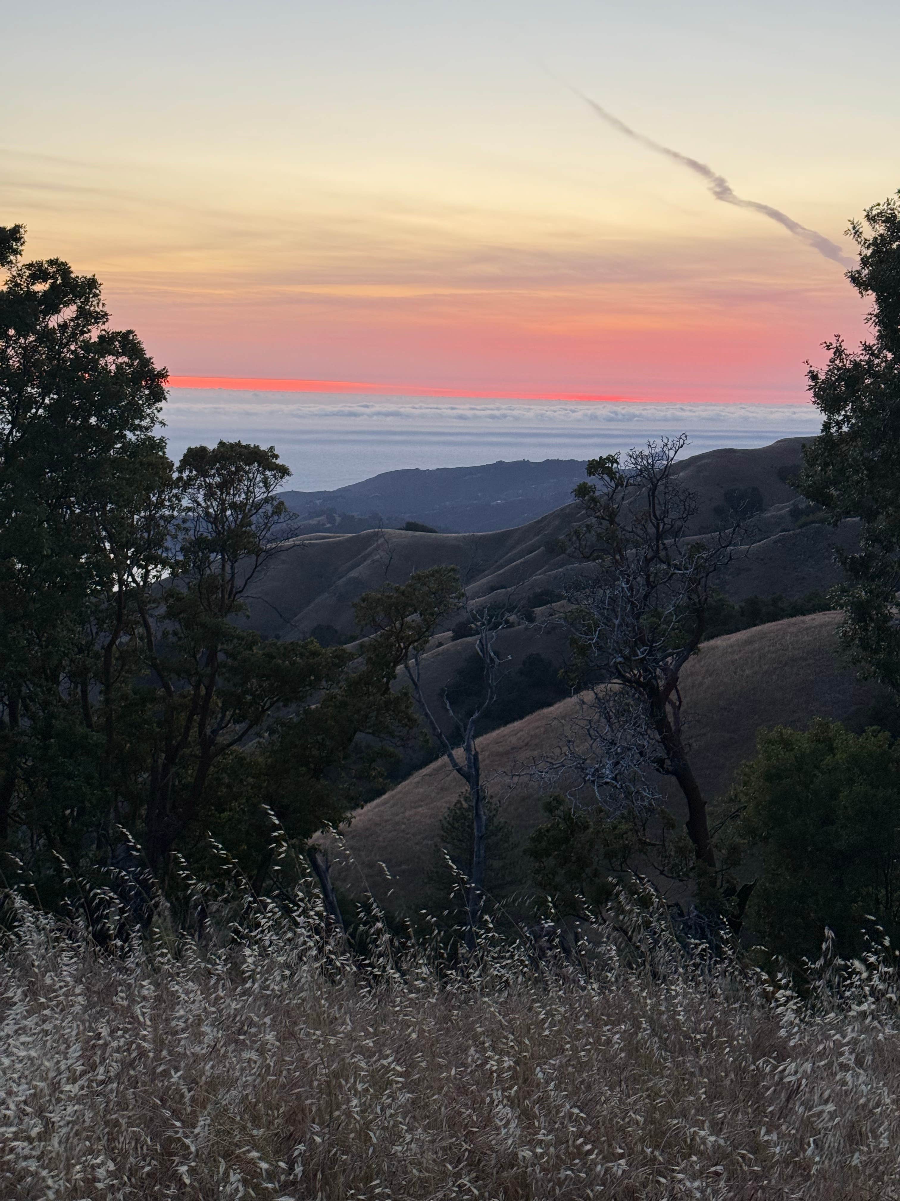 carina M.'s photo of a dispersed camping area at Timber Top Camp near Pinnacles National Park