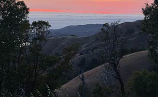 carina M.'s photo of a dispersed camping area at Timber Top Camp near Monterey, CA