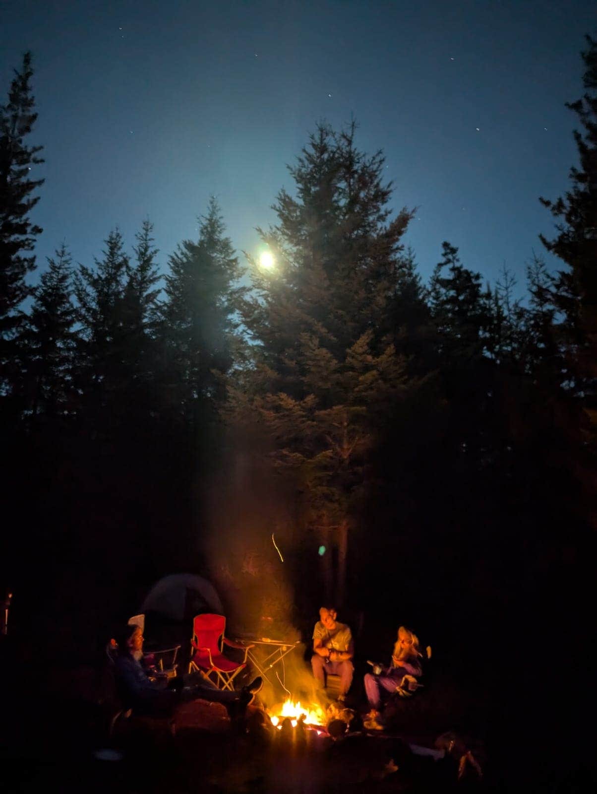 Timothy Lake Dispersed Camping