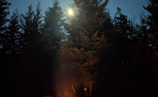 Trevor B.'s photo of a dispersed camping area at Timothy Lake Dispersed Camping near Tygh Valley, OR
