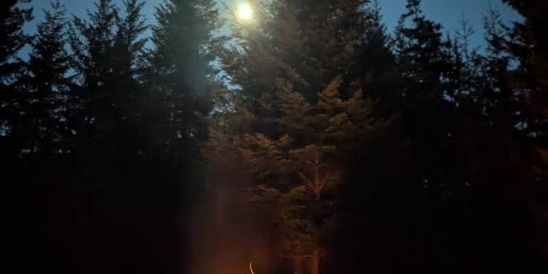 Camper submitted image from Timothy Lake Dispersed Camping