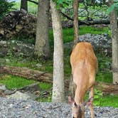 Review photo of Thousand Trails Timothy Lake South by RETIRED R., June 18, 2026