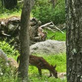 Review photo of Thousand Trails Timothy Lake South by RETIRED R., June 18, 2026