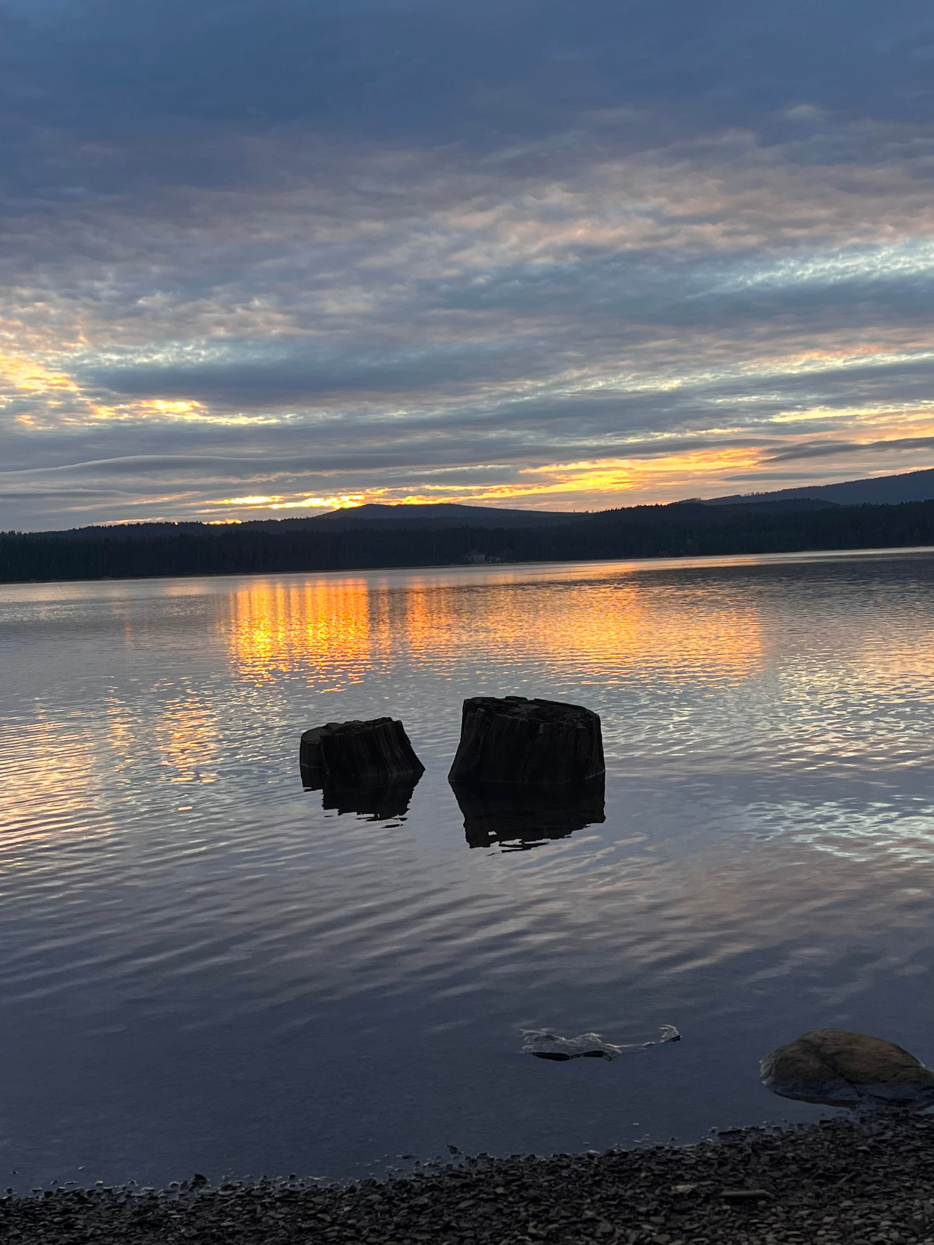 Camper submitted image from Timothy Lake West Shore Campground - 2