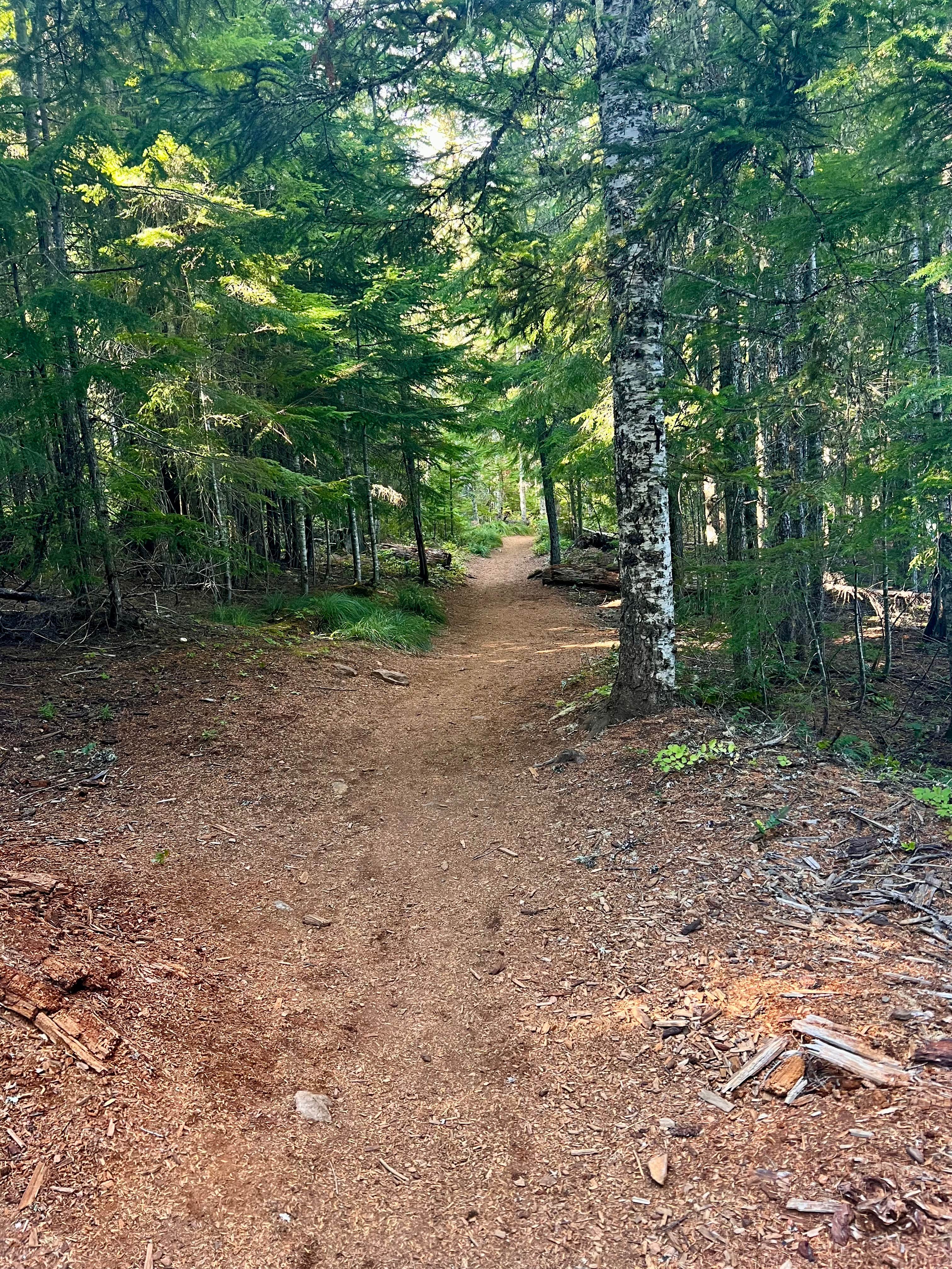 Camper-submitted photo at Timothy Lake Meditation Point near Mt. Hood National Forest