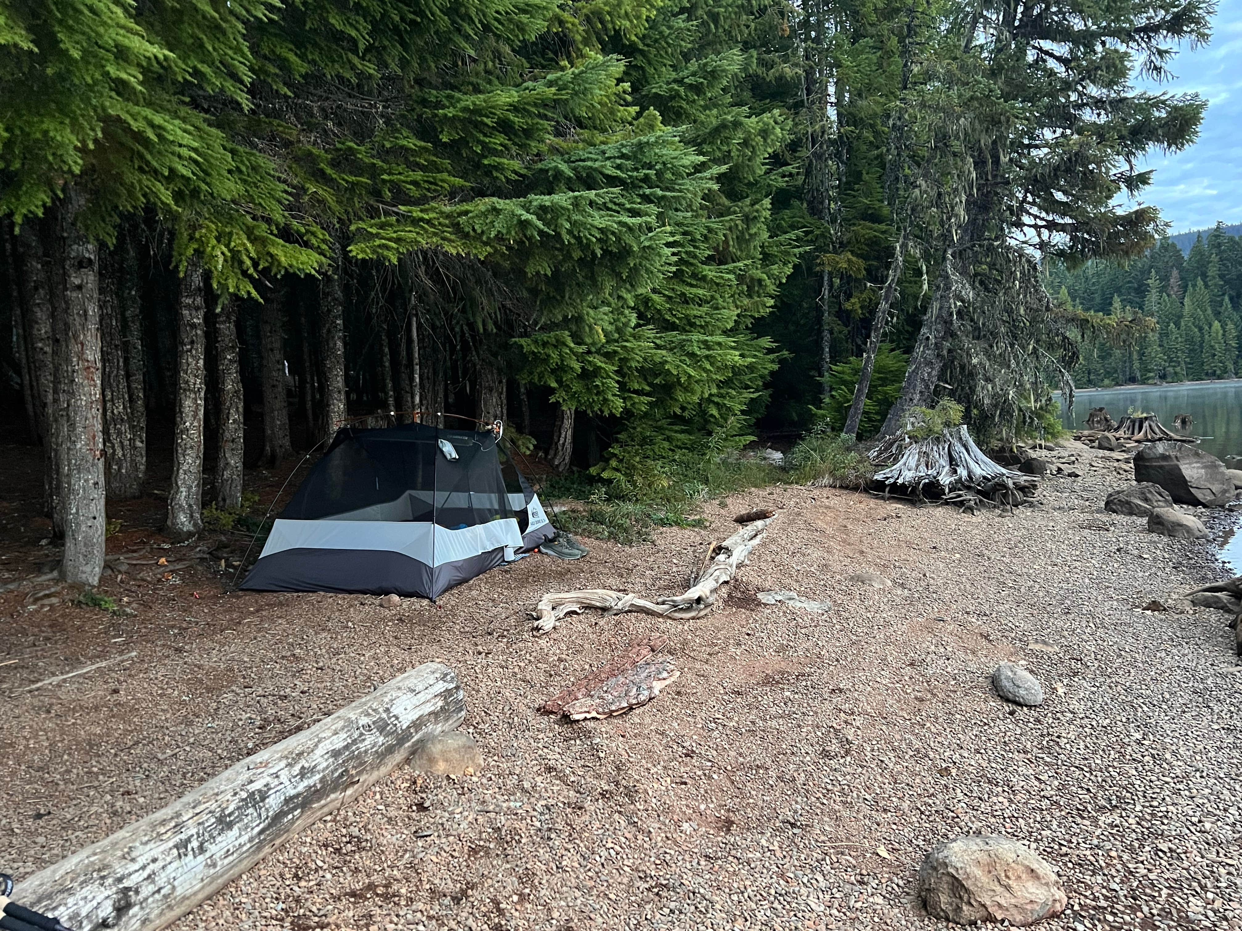 Camper submitted image from Timothy Lake Meditation Point - 1