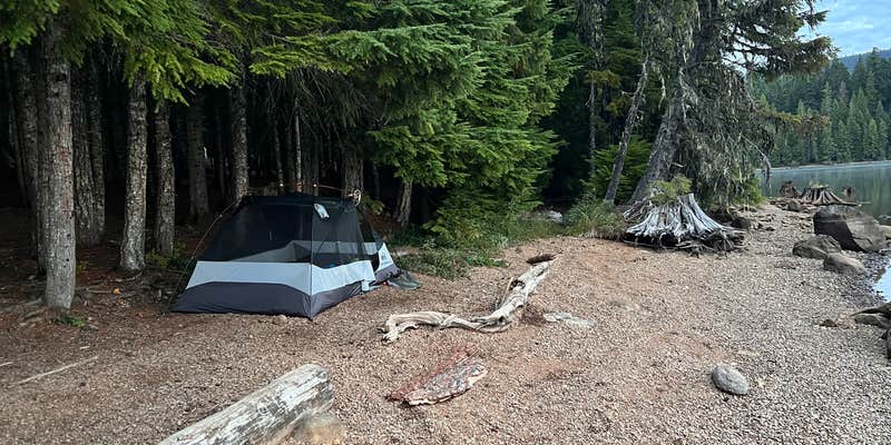 Camper submitted image from Timothy Lake Meditation Point