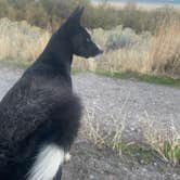 Review photo of Timpanogas Lake Campground by Lucas D., October 8, 2025