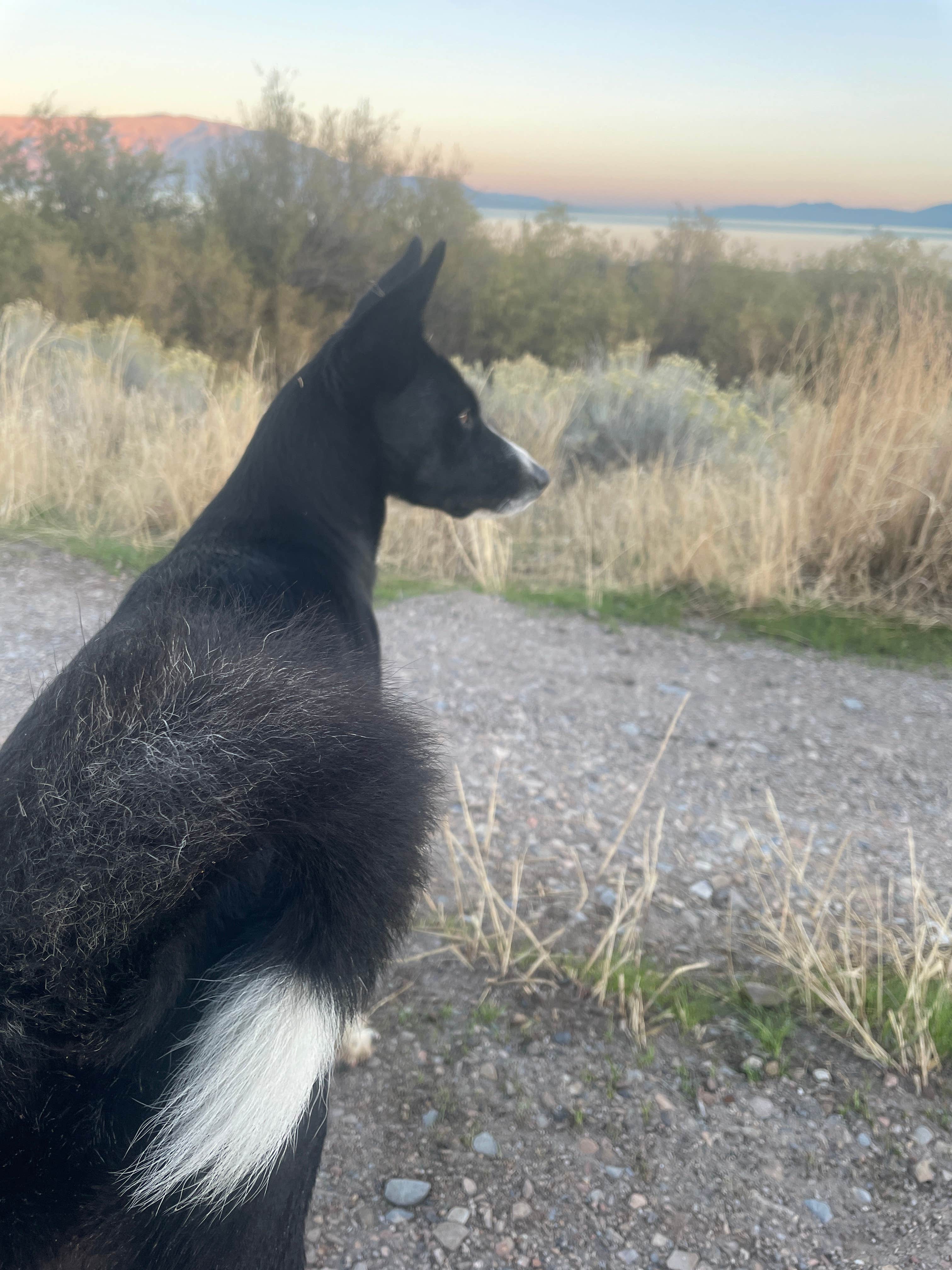 Camper submitted image from Timpanogas Lake Campground - 5