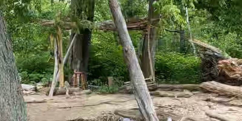 Camper submitted image from Tinicum Island