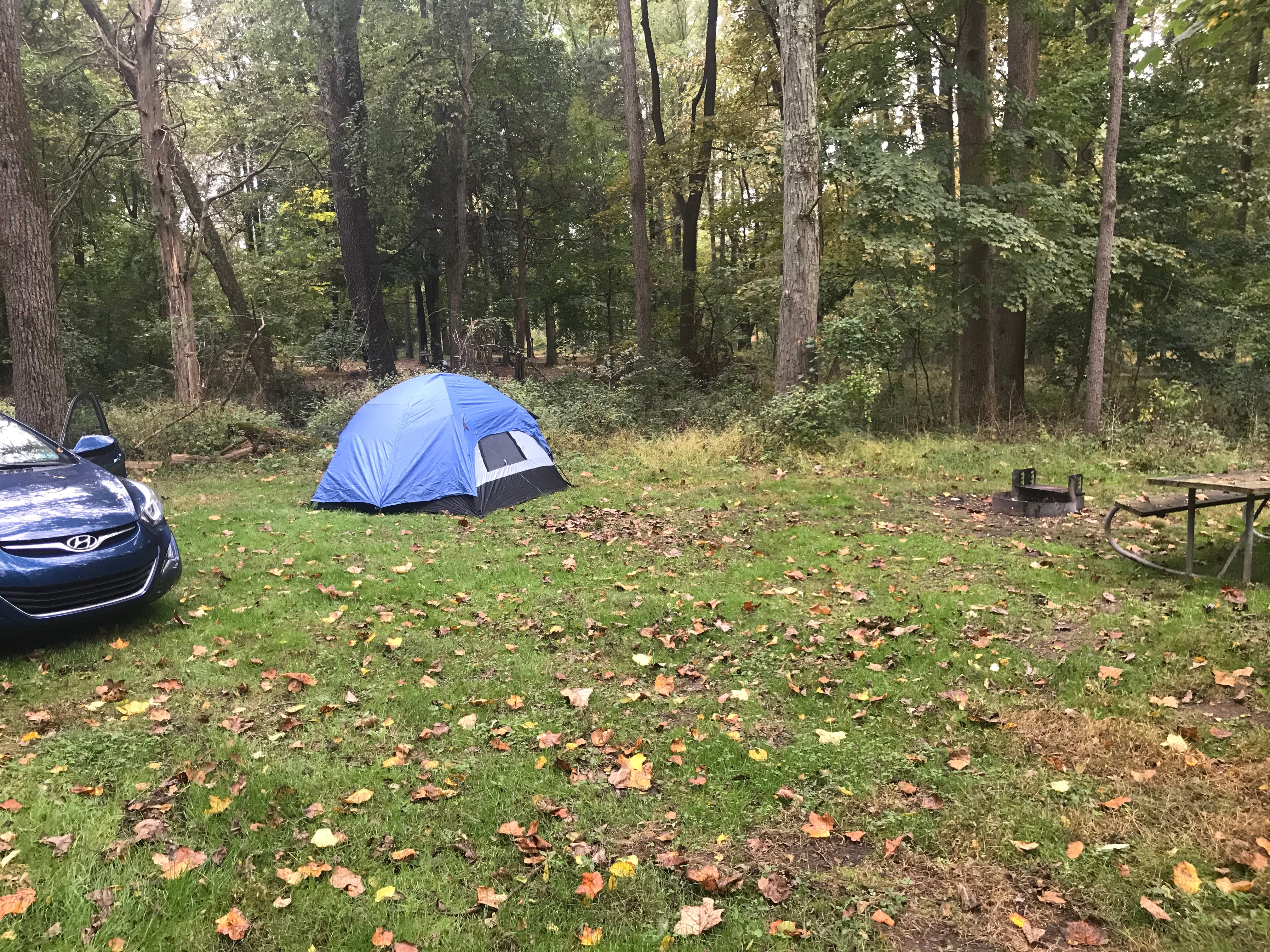 Camper submitted image from Tinicum Park Camping - 4