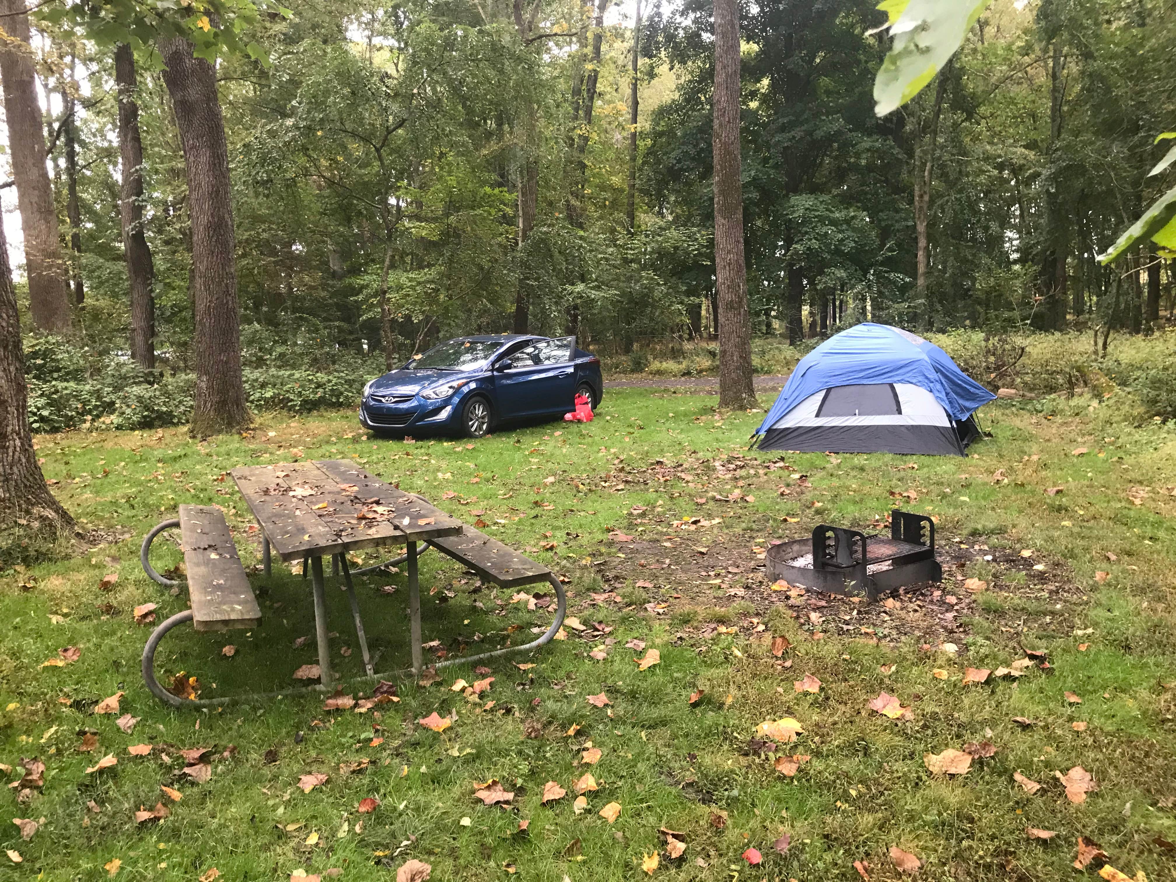 Camper submitted image from Tinicum Park Camping - 2