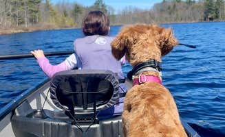 Paige A.'s photo of camping with pets at Tiny Cabins of Maine near Owls Head, ME