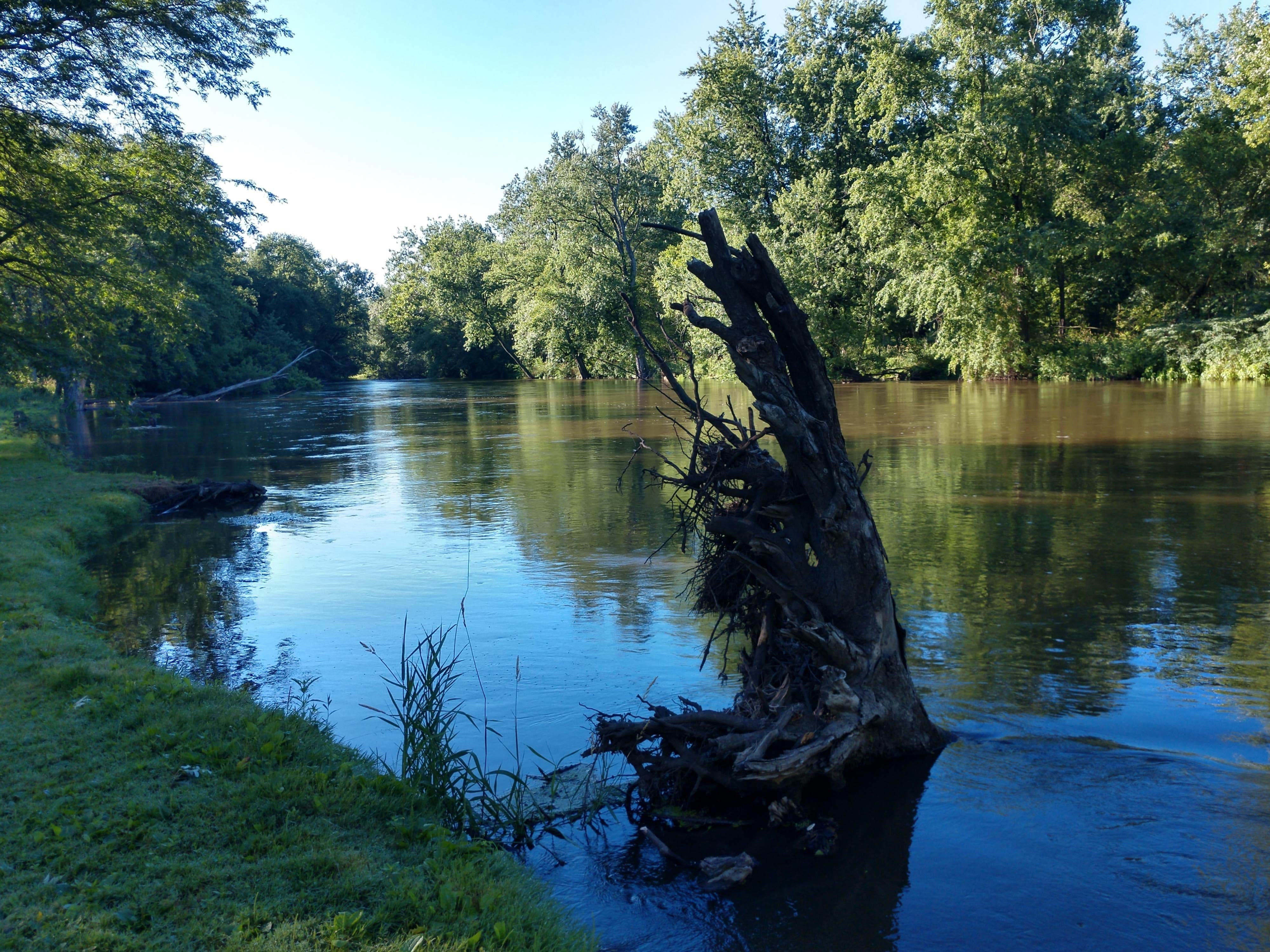 Camper-submitted photo at Tippecanoe River Run near Culver, IN