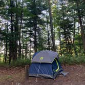 Review photo of Tippy Dam State Recreation Area by Lindsey C., September 12, 2024