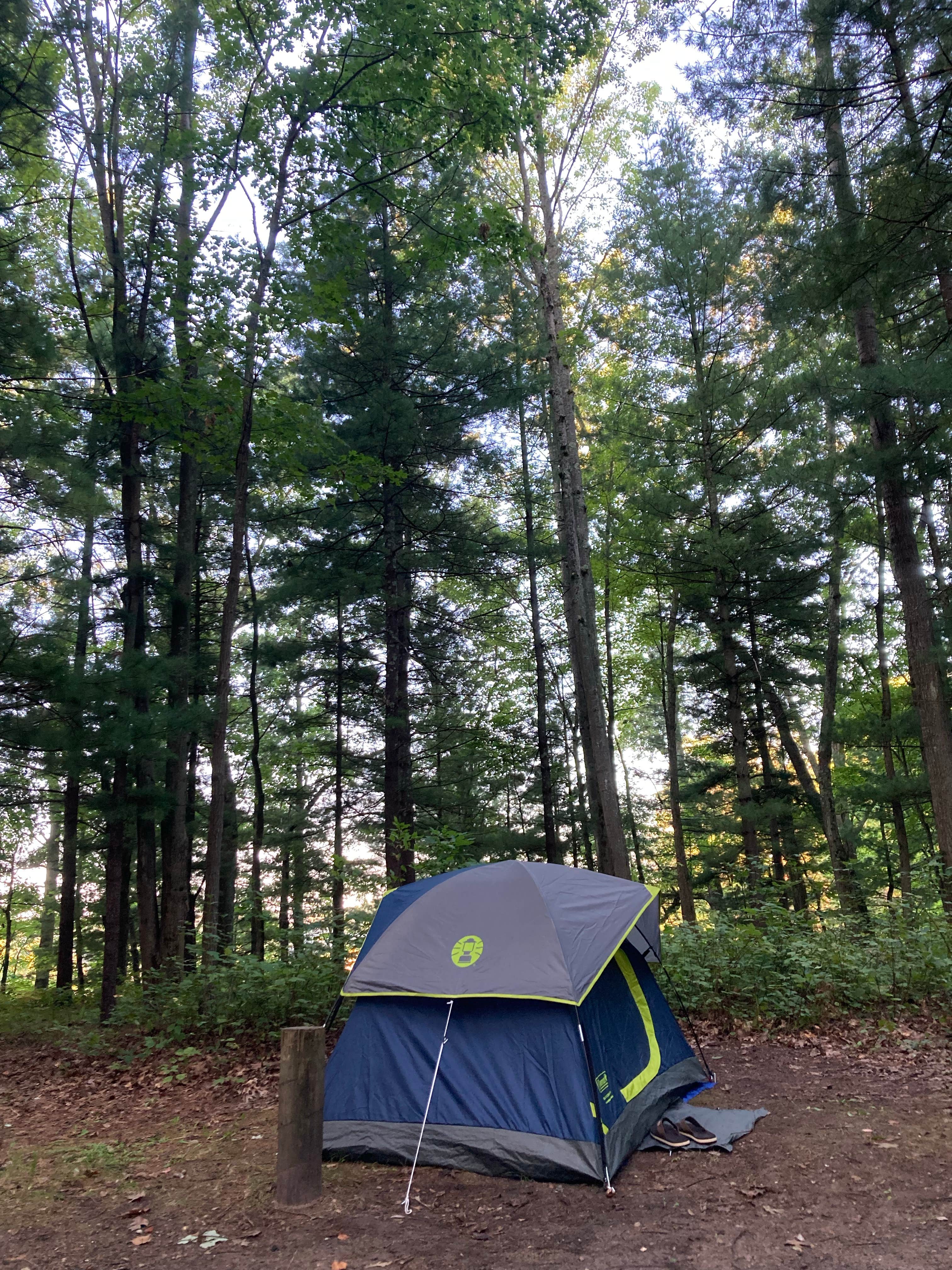 Camper submitted image from Tippy Dam State Recreation Area - 1