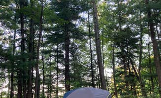Lindsey C.'s photo at Tippy Dam State Recreation Area near Brethren, MI