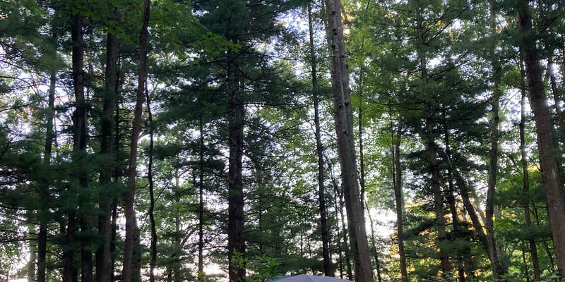 Camper submitted image from Tippy Dam State Recreation Area