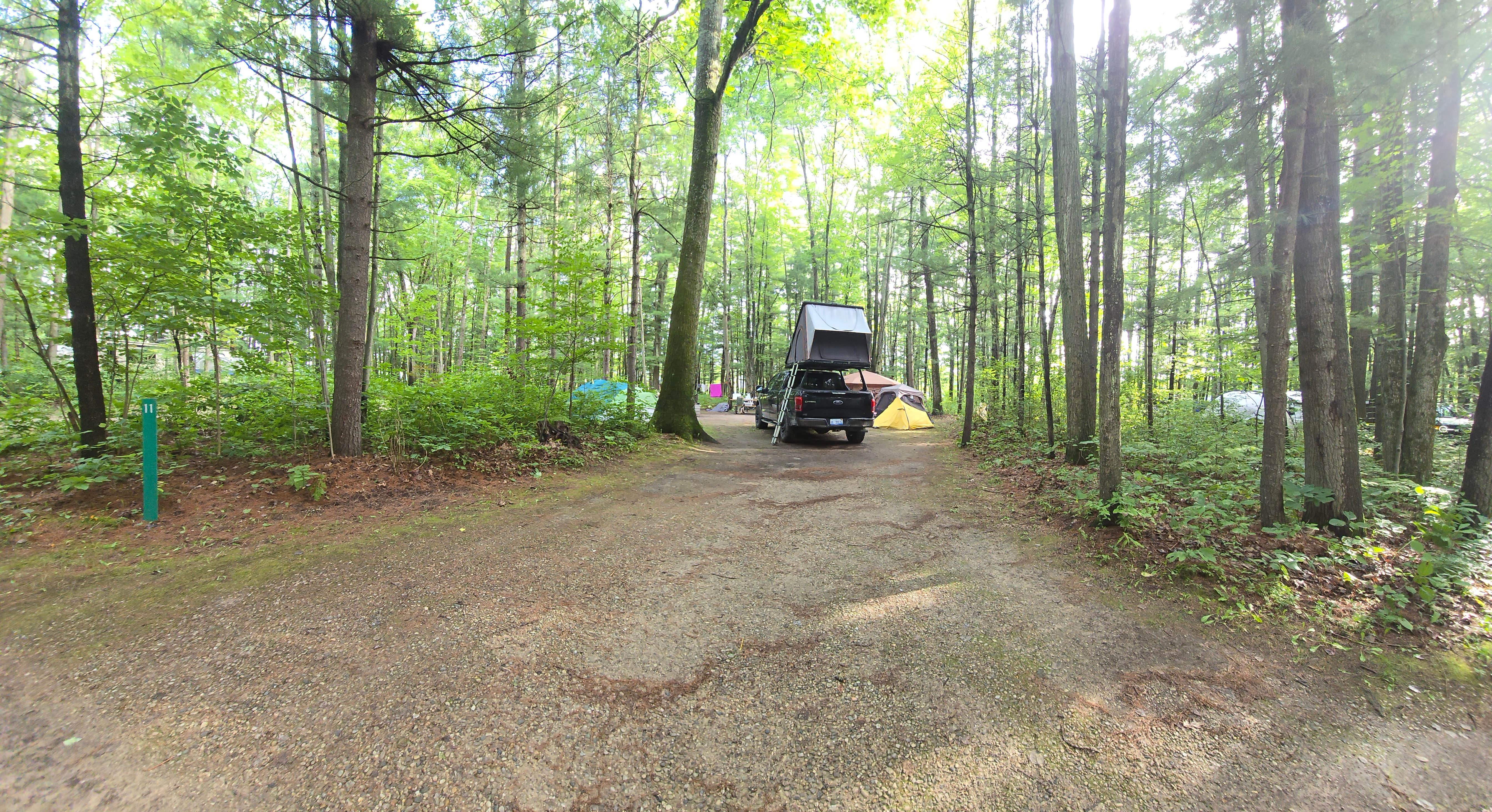 Camper submitted image from Tippy Dam State Recreation Area - 4