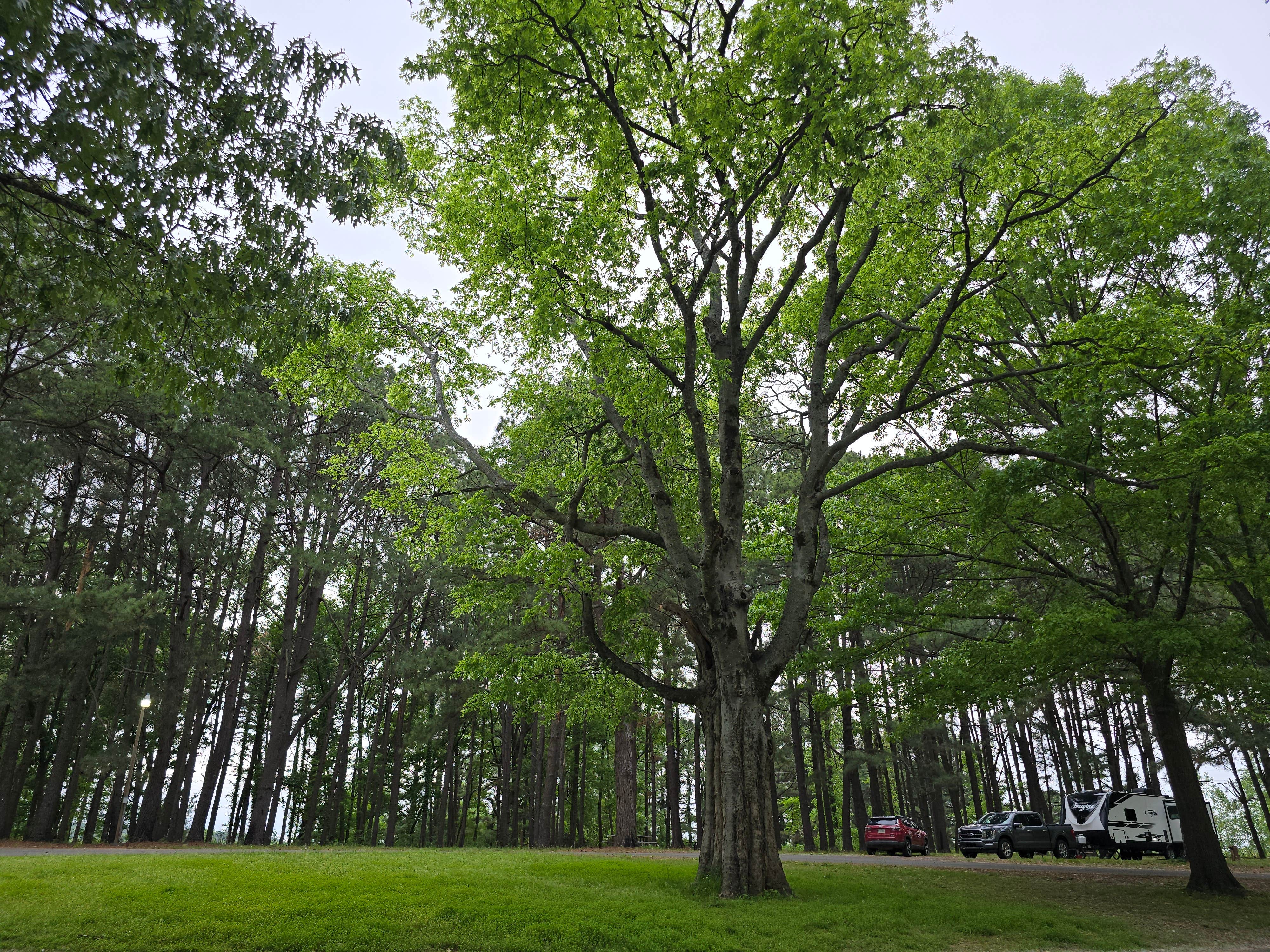 COE Toad Suck Ferry Toad Suck Ferry Park