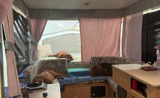 Zachary J.'s photo of rv camping at controller works near Buhl, AL