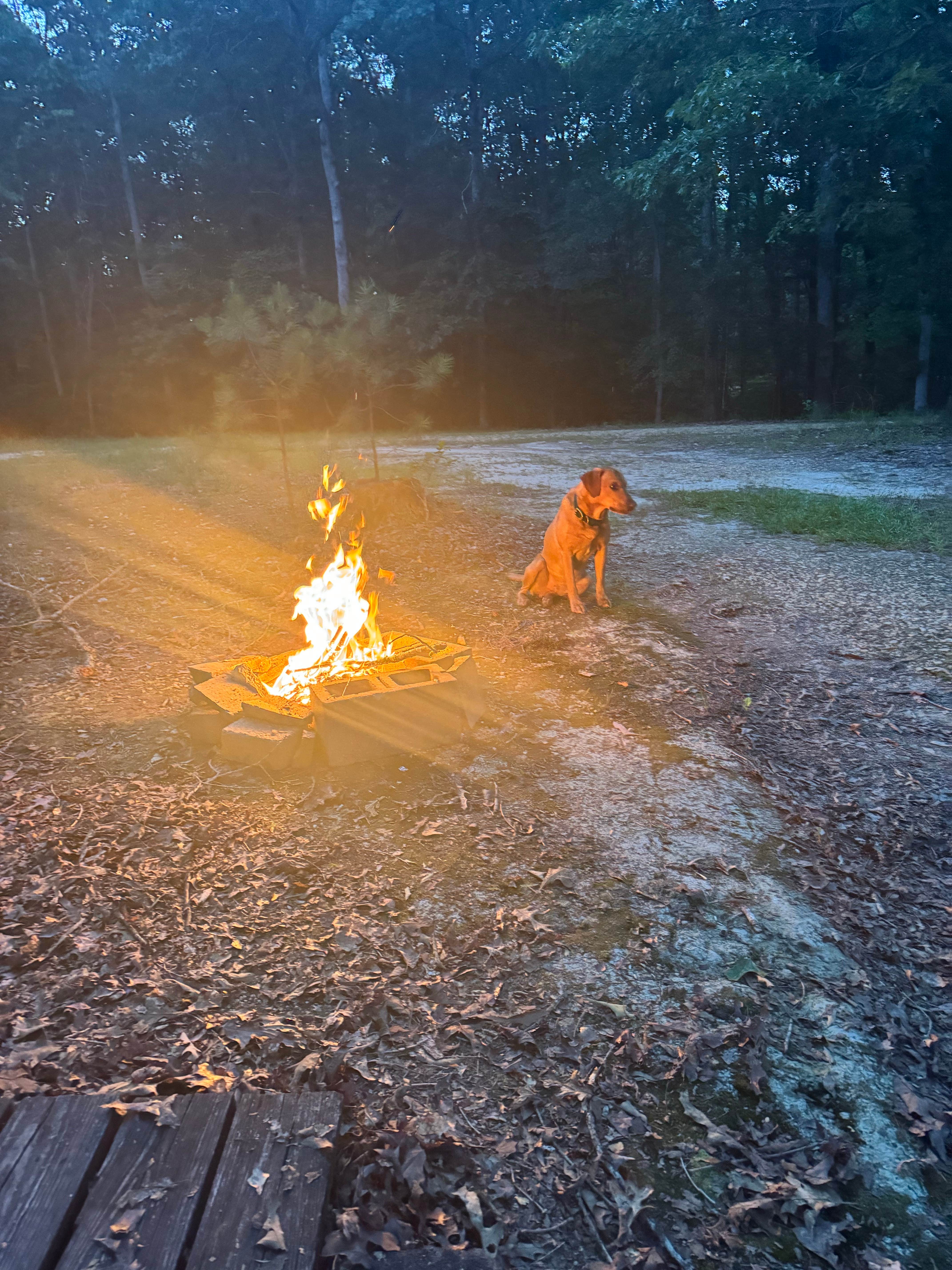 Camper-submitted photo at controller works near Fulton, MS