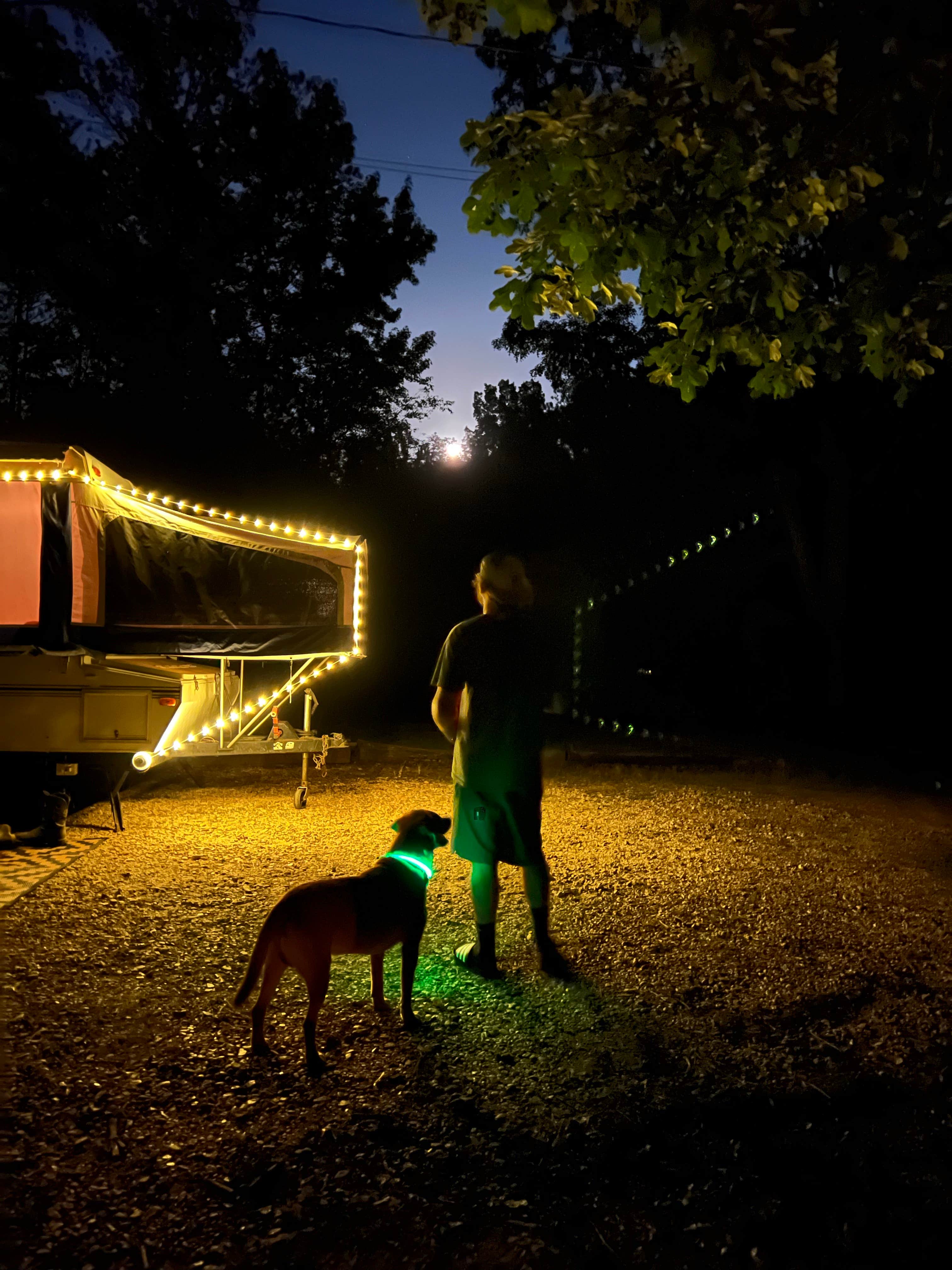 Zachary J.'s photo of camping with pets at controller works near Bankhead National Forest