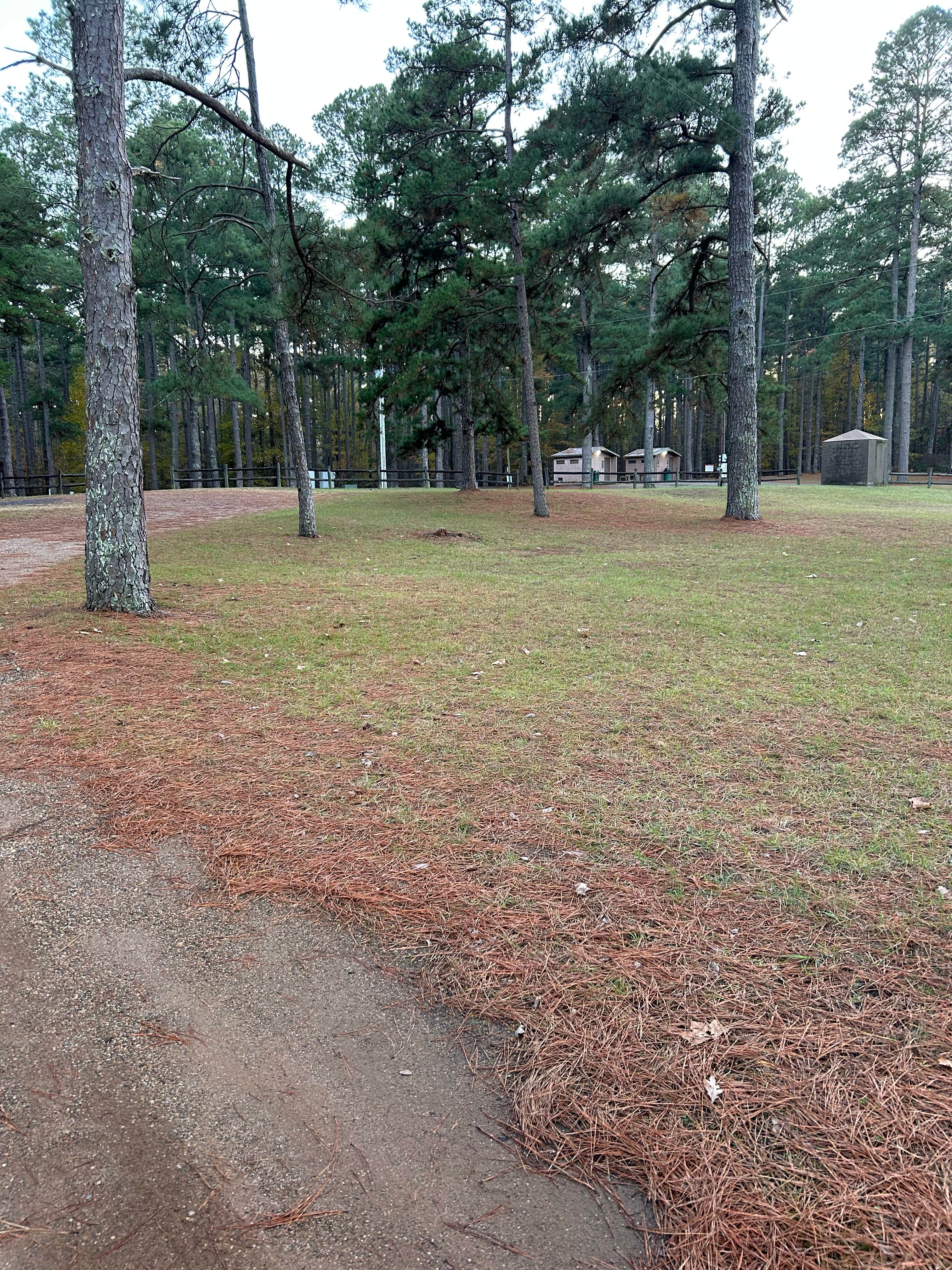 Camping near Beaver Dam Campground: Tom Merrill Recreation Area, Haughton, Louisiana