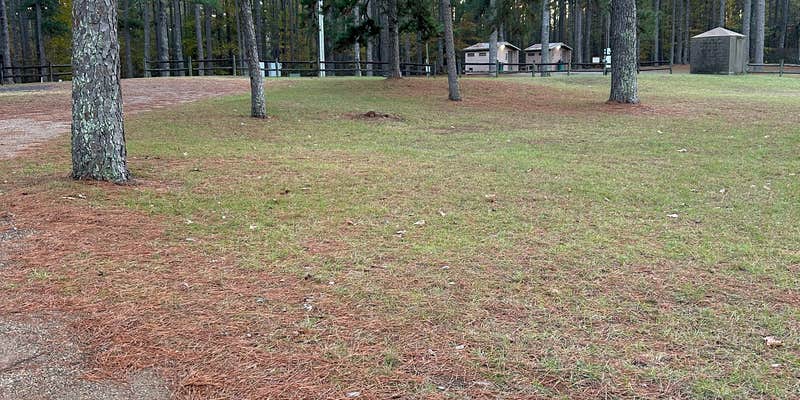 Camper submitted image from Tom Merrill Recreation Area