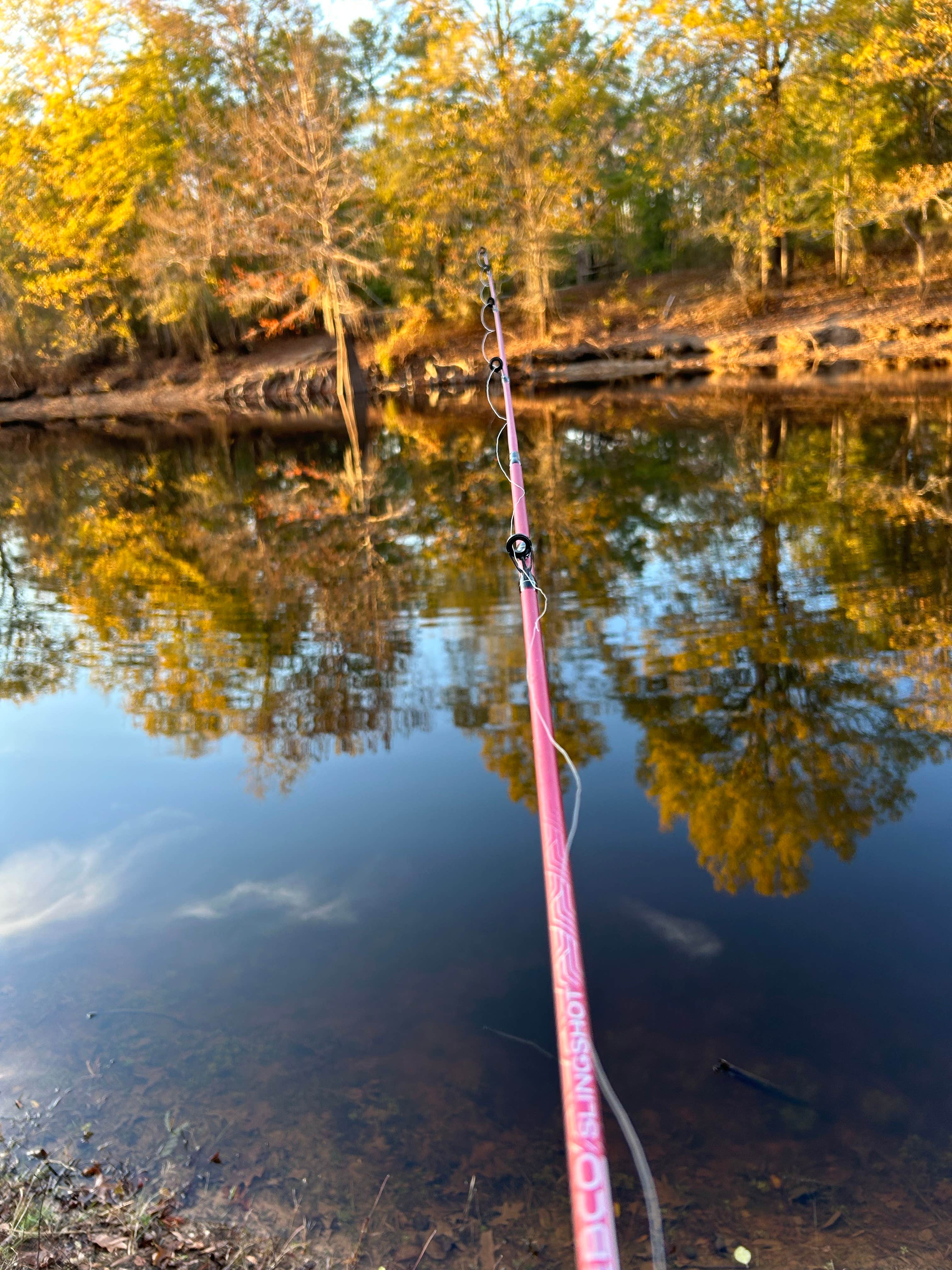Camper-submitted photo at Tom Merrill Recreation Area near Bossier City, LA