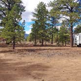 Review photo of Tom's Best Spring Road Dixie National Forest by Susan D., October 21, 2025