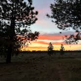 Review photo of Tom's Best Spring Road Dixie National Forest by Maya P., June 10, 2024