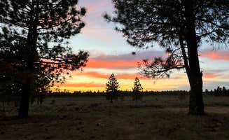 Maya P.'s photo of a dispersed camping area at Tom's Best Spring Road Dixie National Forest near Bryce Canyon National Park