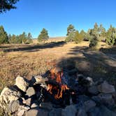 Review photo of Tom's Best Spring Road Dixie National Forest by Erin V., October 6, 2024