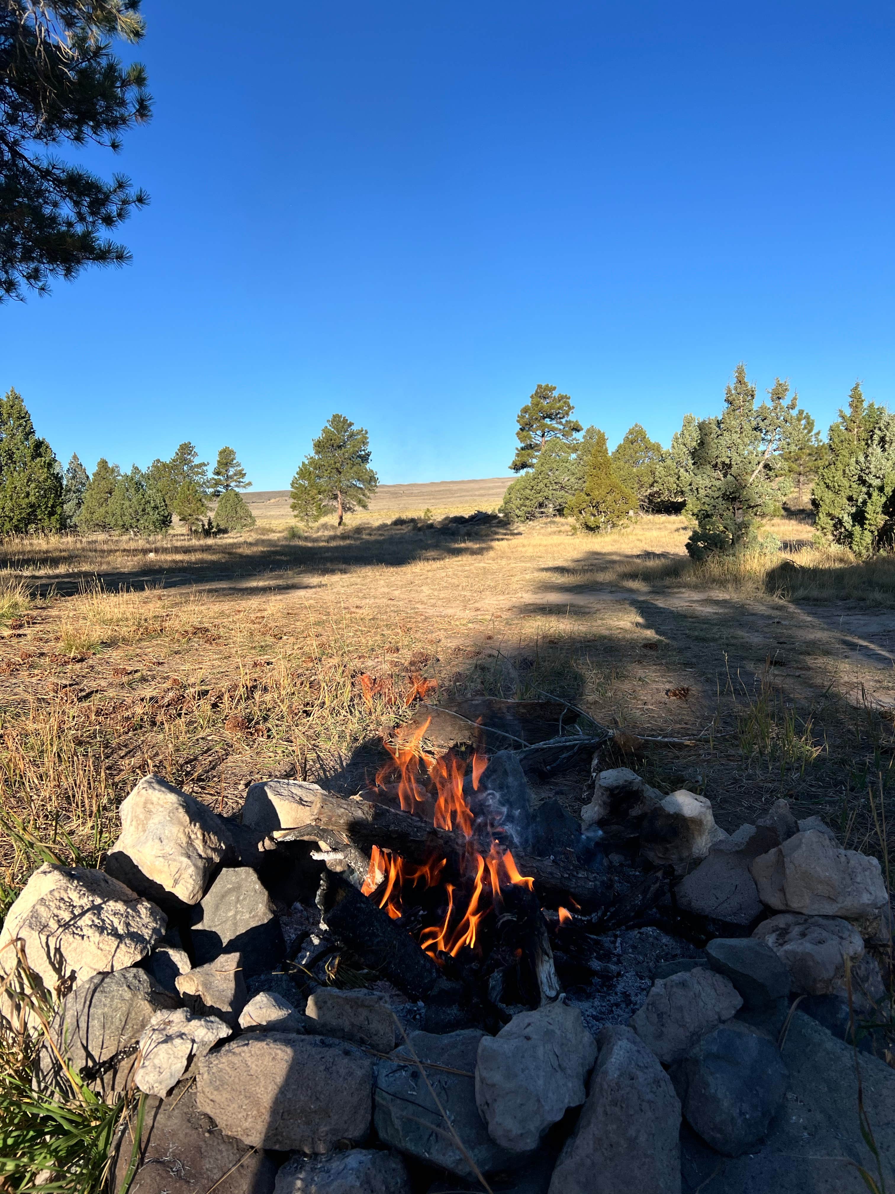 Camper submitted image from Tom's Best Spring Road Dixie National Forest - 1