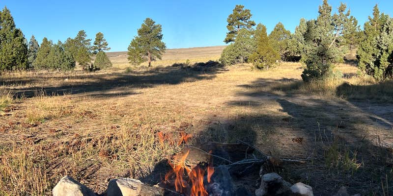 Camper submitted image from Tom's Best Spring Road Dixie National Forest