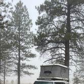 Review photo of Tom's Best Spring Road Dixie National Forest by Chris P., October 19, 2024