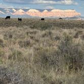 Review photo of Tom's Best Spring Road Dixie National Forest by Leah B., August 2, 2025