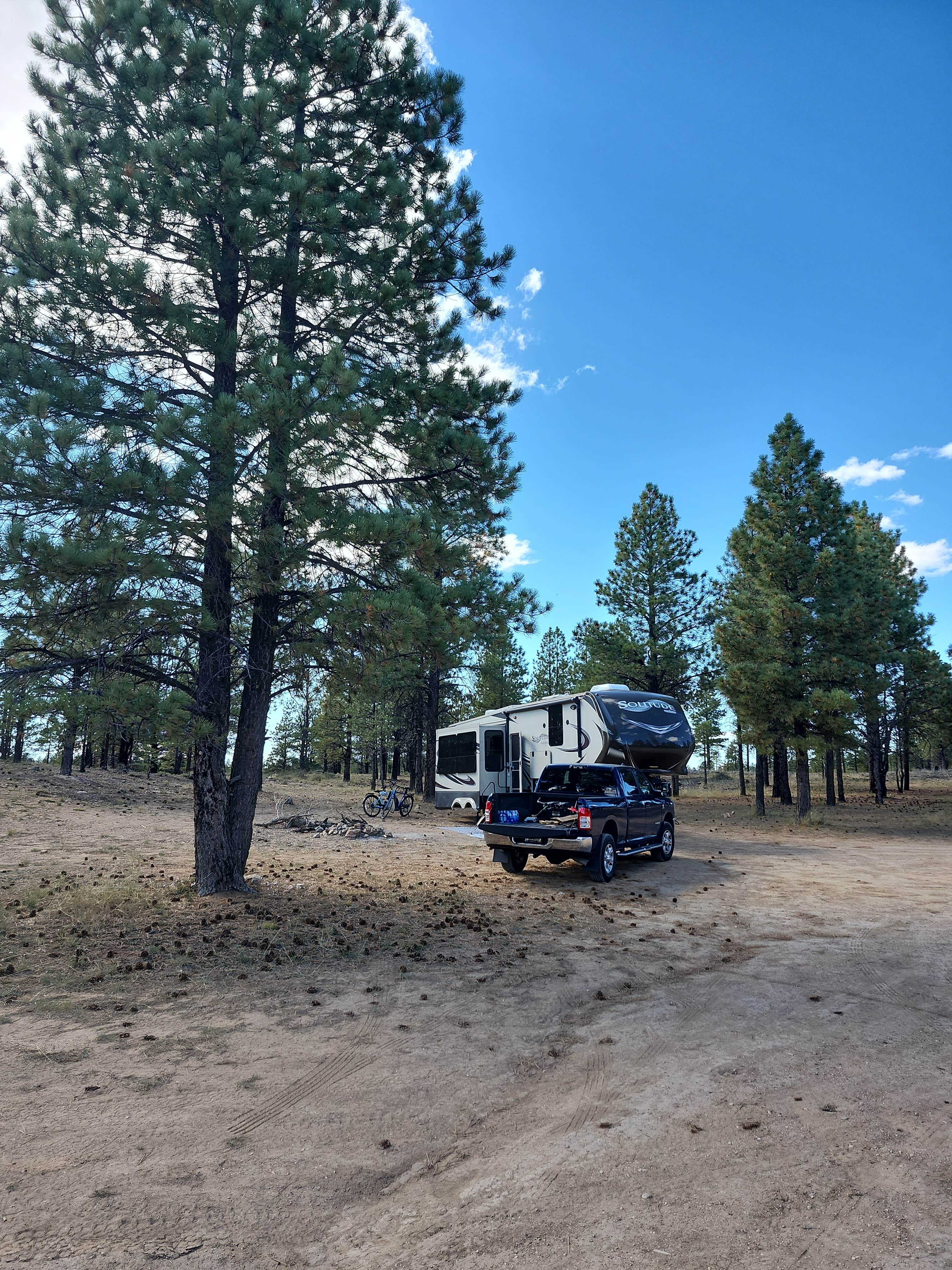 Camper submitted image from Tom's Best Spring Road Dixie National Forest - 3