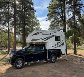 Camper-submitted photo from Tom's Best Spring Road Dixie National Forest 
