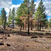 Review photo of Tom's Best Spring Road Dixie National Forest by Susan D., October 21, 2025