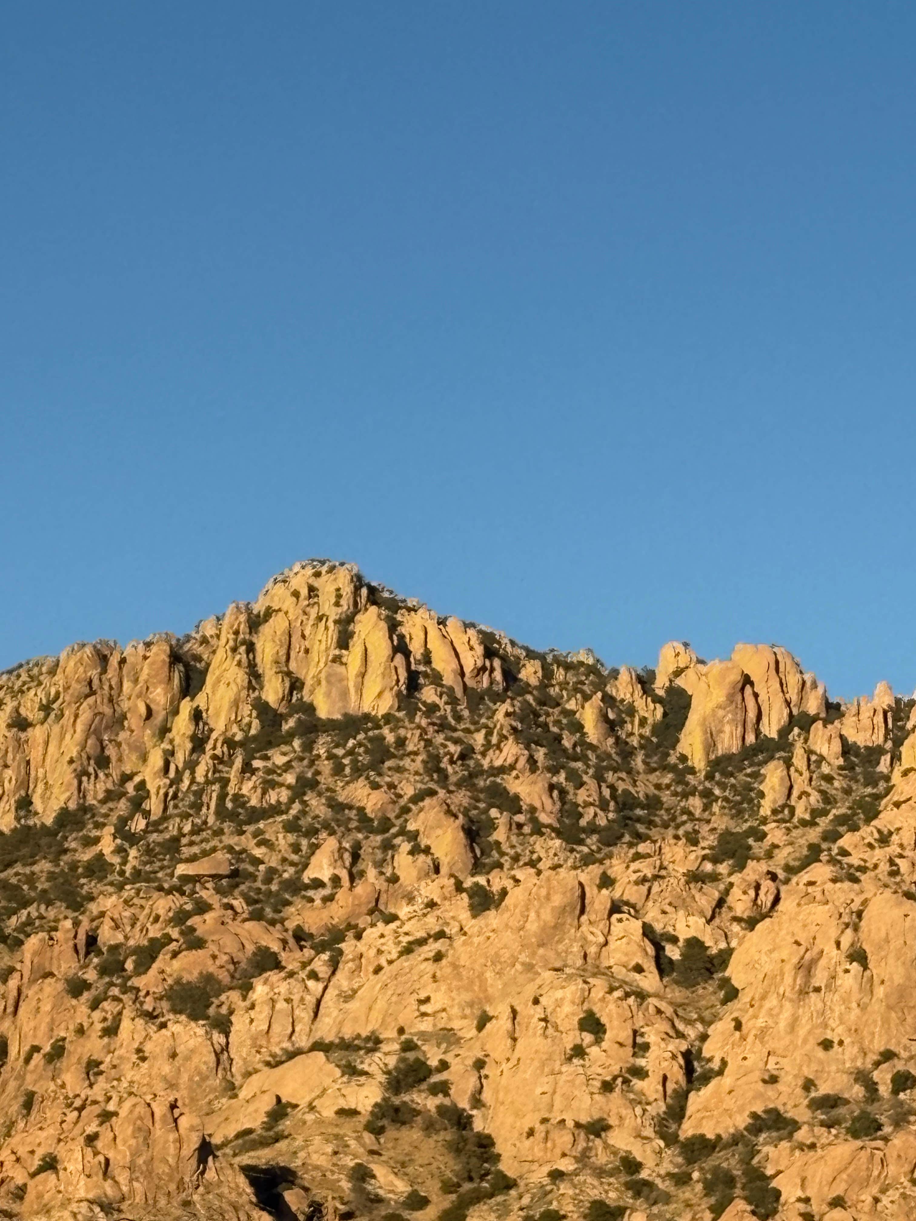 Tombstone Camp on Forest Road 687