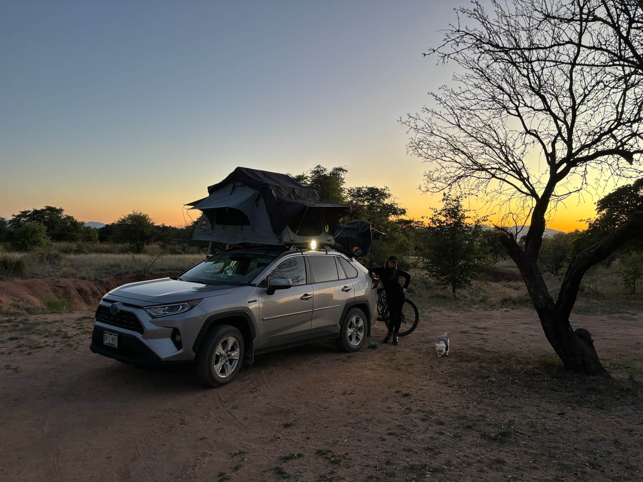 Tarryn T.'s photo of camping with pets at Tombstone Camp on Forest Road 687 near Dragoon, AZ