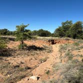 Review photo of Tombstone Camp on Forest Road 687 by Tarryn T., May 4, 2024