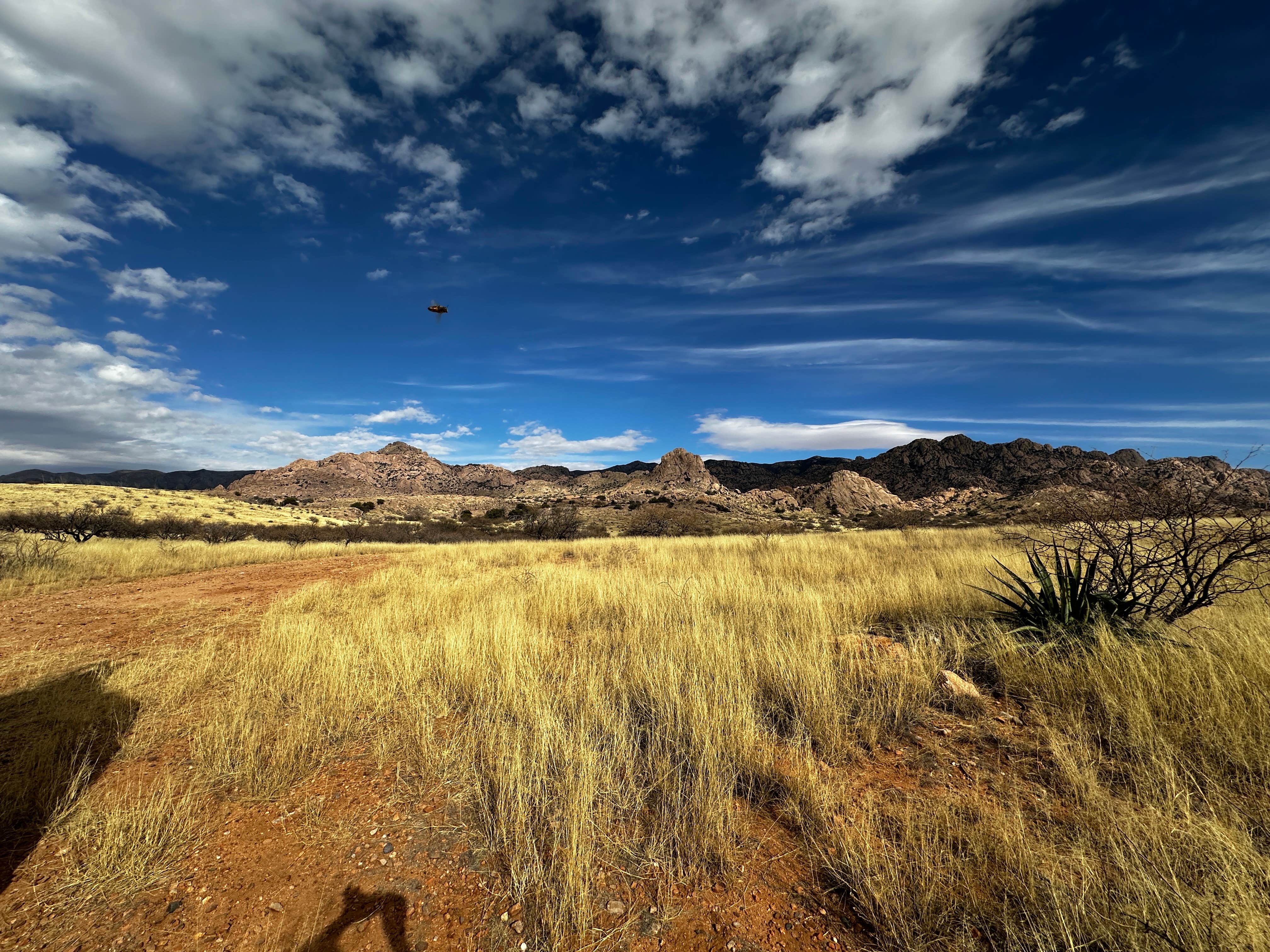 Joey B.'s photo of a dispersed camping area at Tombstone Camp on Forest Road 687 near Tombstone, AZ