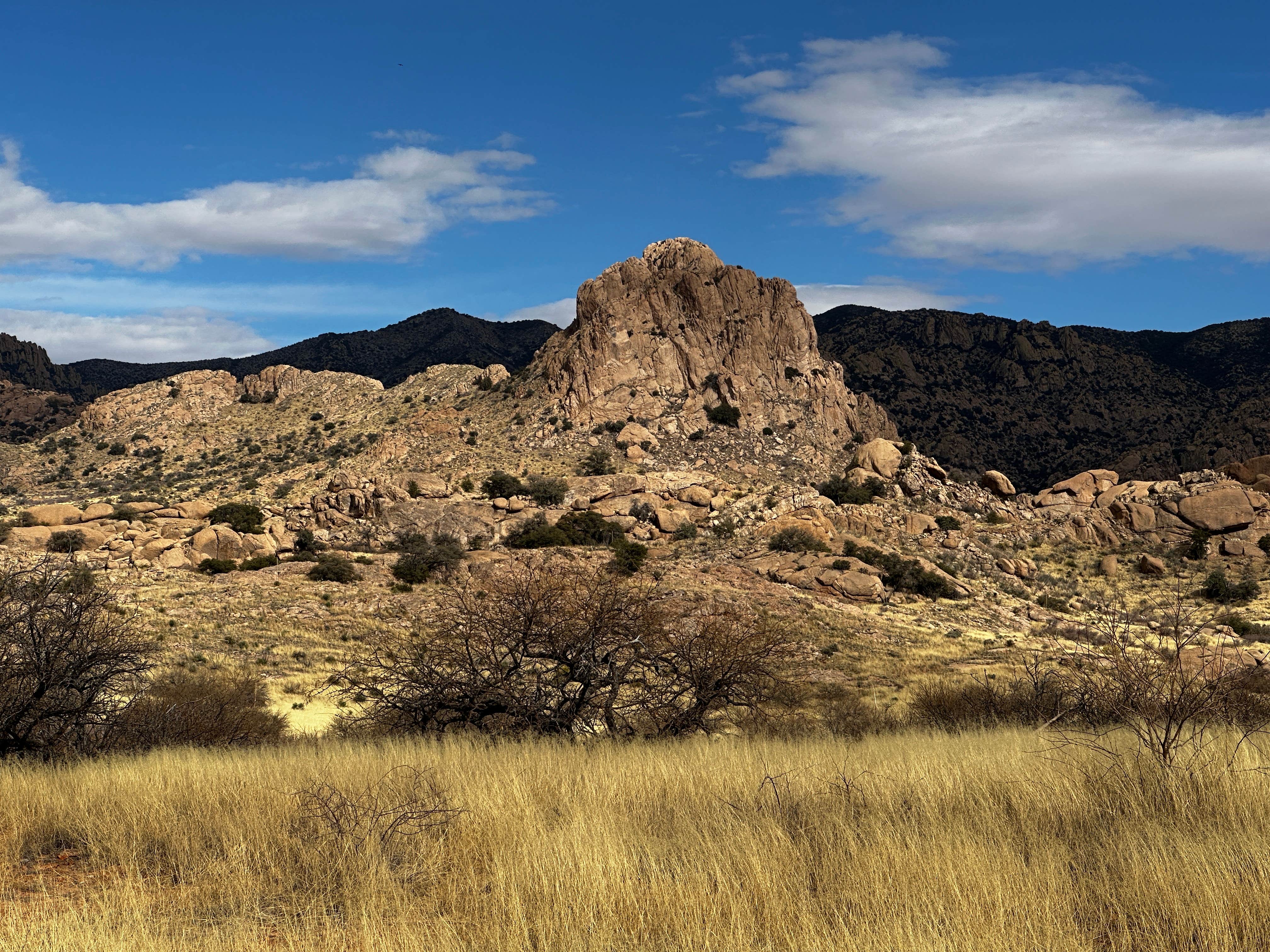 Camper-submitted photo at Tombstone Camp on Forest Road 687 near St. David, AZ